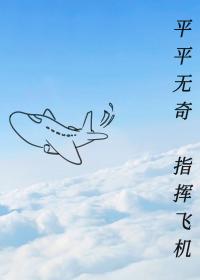 ƽƽ棬ָӷɻ