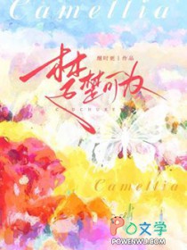 ������Ϊ